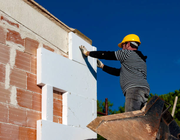 Best Geographic-Specific Insulation Services in Delhi, CA