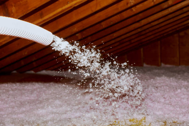 Best Eco-Friendly Insulation in Delhi, CA
