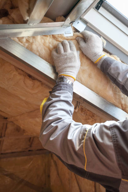 Types of Insulation We Offer in Delhi, CA