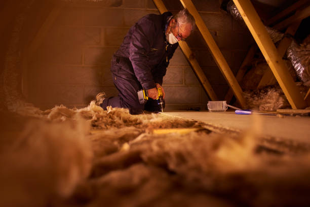 Best Residential Insulation in Delhi, CA
